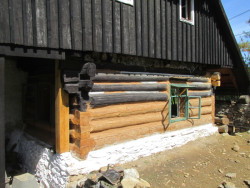 Nejvíce trpí spodní kmeny - ty bylo třeba vyměnit. (Roubená chalupa Strašín)