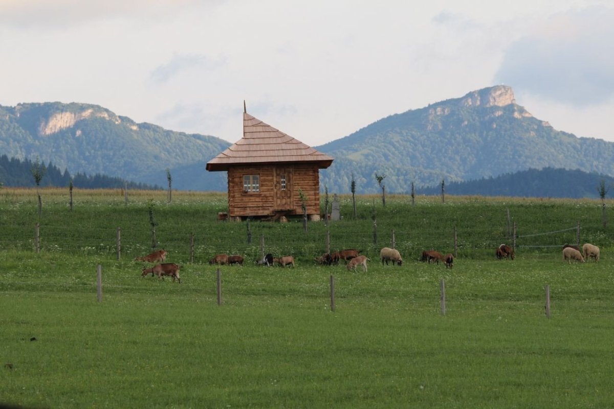 treea, Pustovňa Antona Srholca – foto