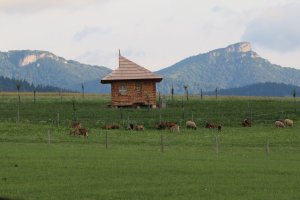 treea, Pustovňa Antona Srholca – foto