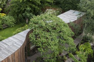 Stromový dům, Londýn, 6a architects