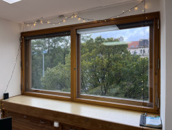 Výhledy do korun stromů. Radost je obecně hubem v jehož buňkách našlo útočiště spousty kreativců a architektů.