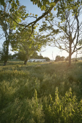 Luxusní vila z betonu od dánských CF Møller Architects