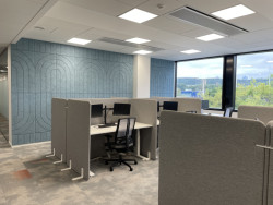 Akustické párávány se hodí do velkých otevřených kanceláří, kde pomáhají tvořit pocit soukromí a zároveň snižují celkovou ozvěnu.