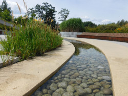 Důležitým prvkem parku je meandrující kanálek.