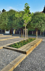 FAM Architekti, Revitalizace předprostoru Městského domu a Divadla J. Kašky – foto