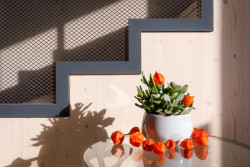 Administrativní budova Partizánske, Prodesi/ Domesi