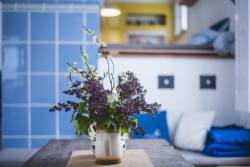 Rekonstrukce statku v jižních Čechách, Mooza architecture