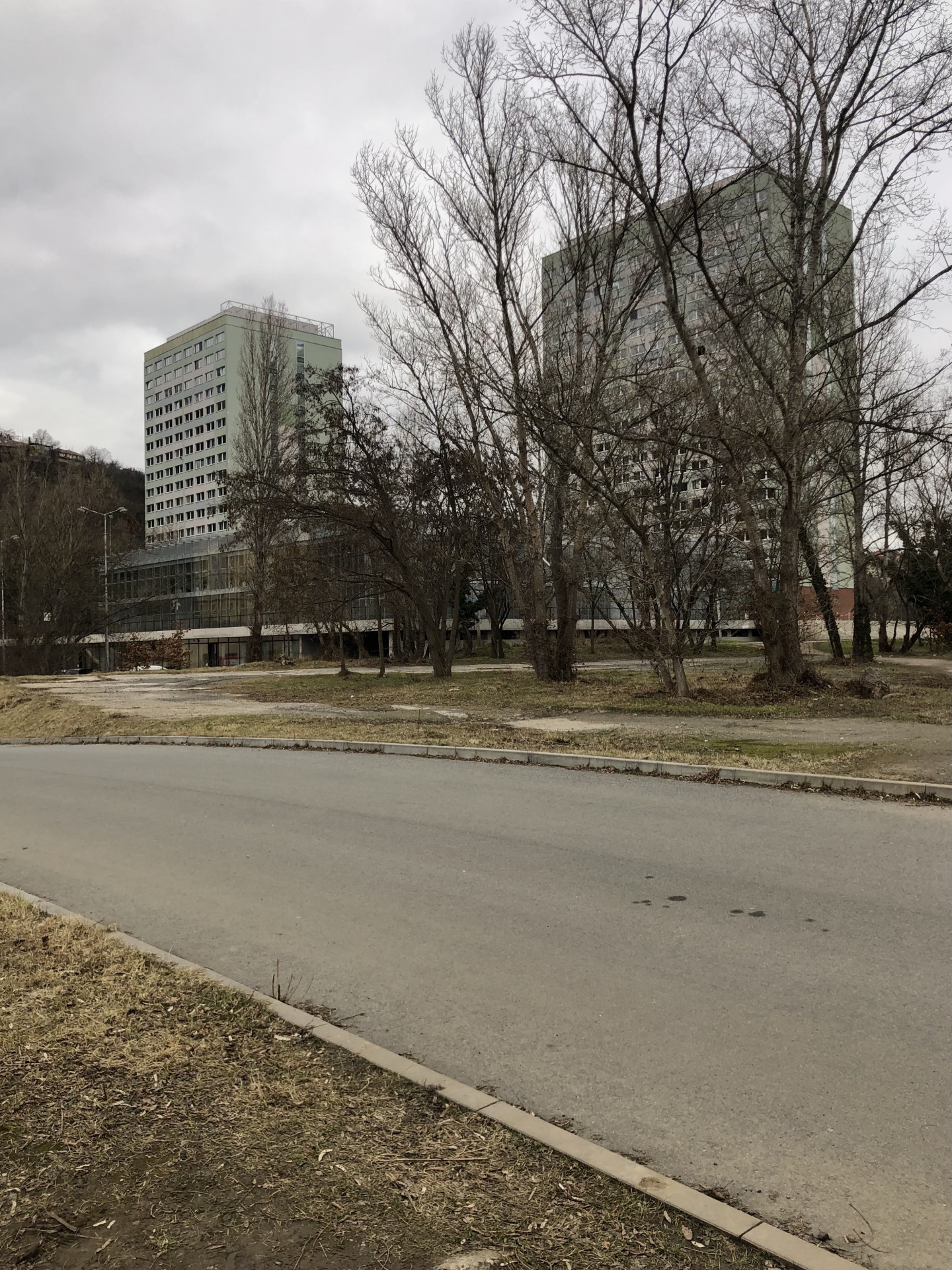 Spontánní křoví. Náletová zeleň zútulňuje a ochlazuje okolí