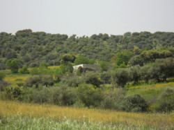 Dům u portugalského městečka Monsaraz, Aires Mateus