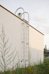 Část domu má vegetační střechu, vstupuje se na ni po žebříku. (Rodinný dům v Záhorských sadech, ČECHVALA ARCHITECTS)