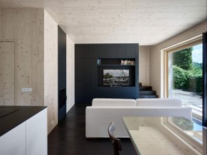 Rodinný dům u Slapské přehrady, Stempel & Tesar architekti - foto