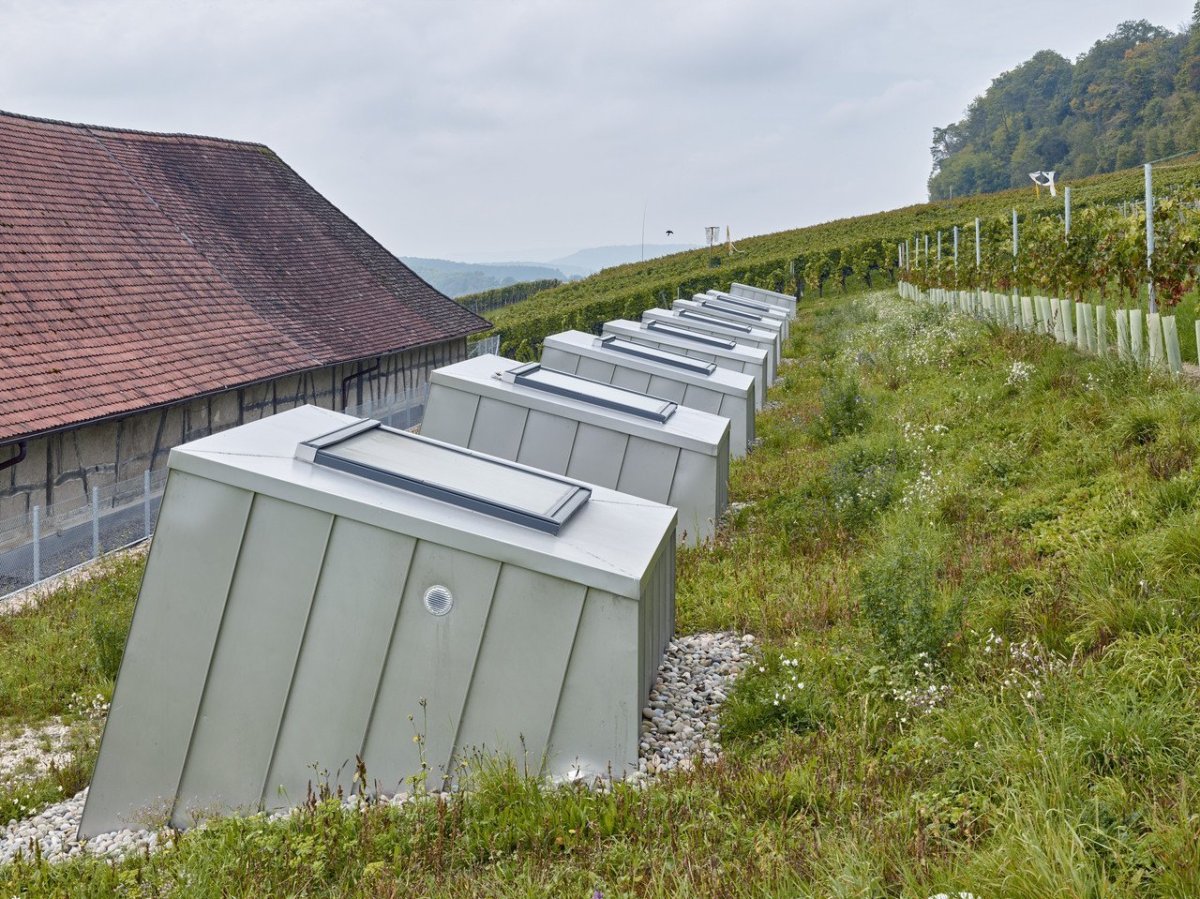 Taneční sál pod vinohradem, SPPA Architekten