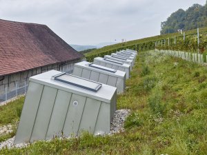Taneční sál pod vinohradem, SPPA Architekten