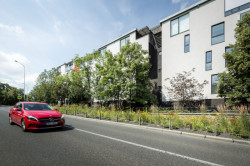 Šmídová Landscape Architects, Extenzivní trvalkový záhon v Italské ulici - foto