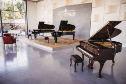 PETROF Hall, ADONIS PROJEKT, spol. s r.o.