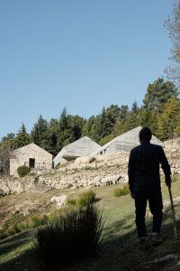 Casa NaMora v Portugalsku od Davida Bilo a Filipe Pina