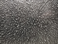 Maxim Velčovský a edit! architects uspěli v graficko-výtvarné soutěži na návrh interiéru stanice metra Českomoravská