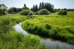 Navrácení Svratky do historického koryta