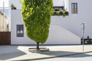 Přestavba samoobsluhy od ateliéru Létající inženýři