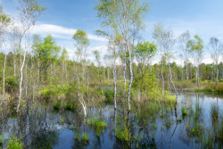 Nadace Partnerství zahájila přihlašování do pátého ročníku soutěže Adapterra Awards