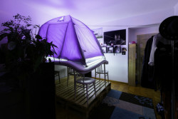 Z obýváku do kuchyně, Lucie Hyšková, Petr Kubáč, Alexandra Naušová.