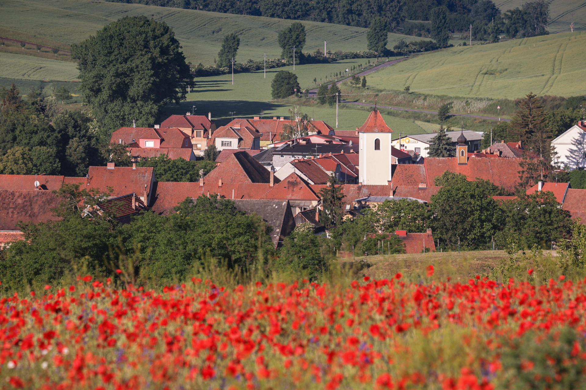 Dechberoucí krajina v okolí obce Šardice ji zařadila mezi 50 nejkrásnějších míst na Zemi dle časopisu Condé Nast Traveller