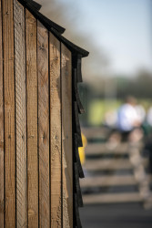 Architekta Clementine Blakemore navrhla hudební pavilon pro britskou základní školu