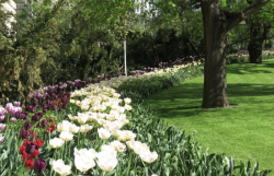 Krajinářský architekt Ondřej Fous pohovoří o realizaci veřejného prostoru Národního muzea v Praze, na kterém se podílel.