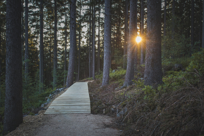 Hlídka na Stráži, Mjölk architekti