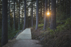 Hlídka na Stráži, Mjölk architekti