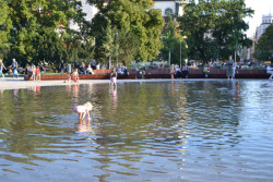 Park na Moravském náměstí, Consequence Forma: Fotografie od poroty Park roku 2023