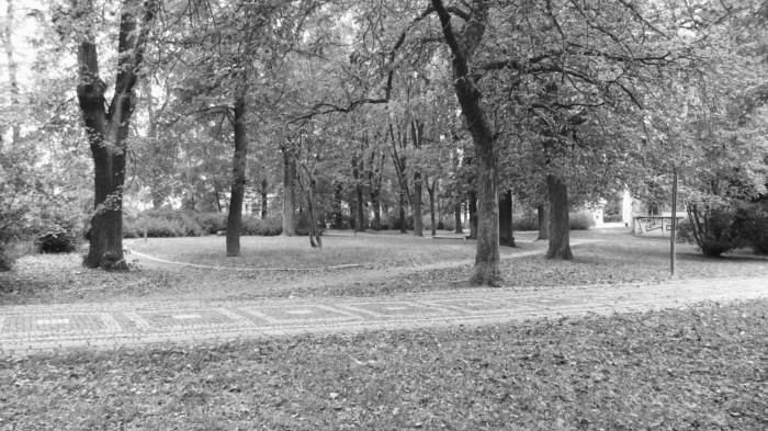 Revitalizace Vrchlického sadů v Klatovech, CHVOJKA / architekt,