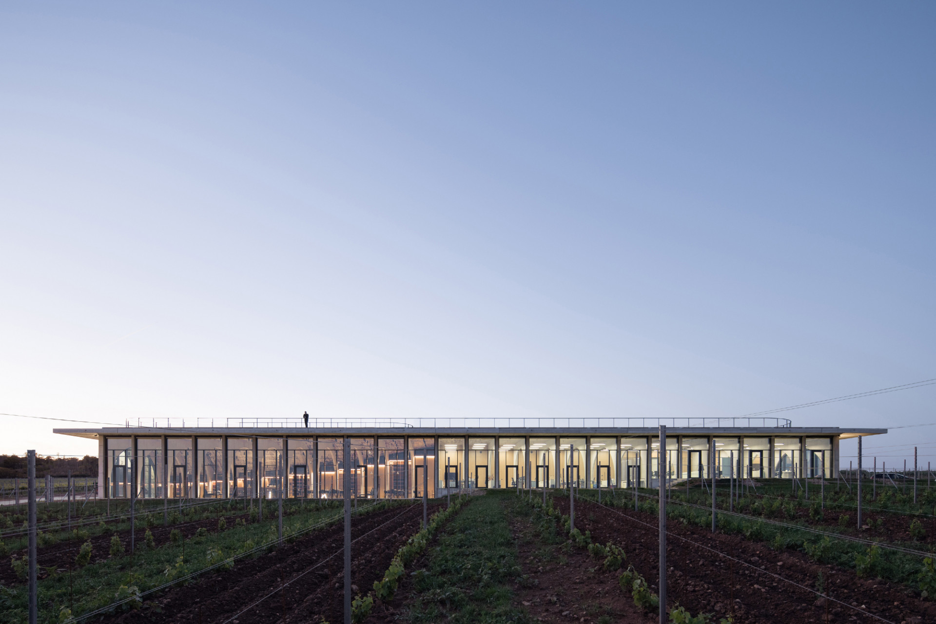 Vinařství Lahofer, Chybík+Krištof