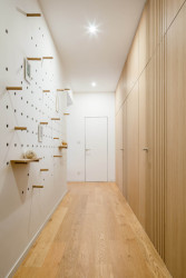 Byt v Praze-Vinohradech, Archistroj a Atelier HOROZONT: Vzhledem k dispozičnímu řešení bytu bylo potřeba dobře pracovat s chodbou, která je dlouhá a zpřístupňuje několik místností