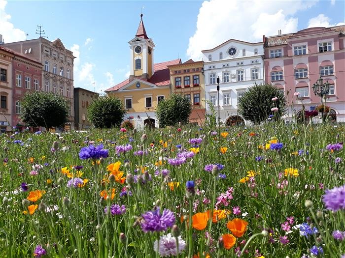 Broumov hledá městského architektka.