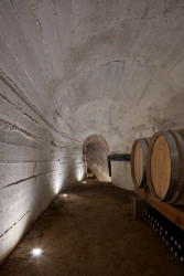 Vinařství Nešetřil ve Znojmě, ORA (originální regionální architektura)/ Jan Veisser, Jan Hora, Barbora Hora