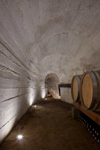 Vinařství Nešetřil ve Znojmě, ORA (originální regionální architektura)/ Jan Veisser, Jan Hora, Barbora Hora