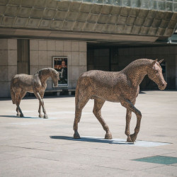 SCULPTURE LINE 2016, Praha: Michal Gabriel, Koně – foto