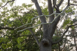 Reflexe, Aleš Hnízdil.