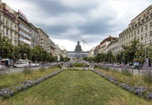 Funkce: Na Václavském náměstí je parkoviště a čtyřproudá komunikace oddělená květinovými záhony. Nejvýznamnější náměstí v ČR neslouží k tomu, k čemu má náměstí sloužit – ke shromažďování a odpočinku lidí. / Václavské náměstí v Praze – foto