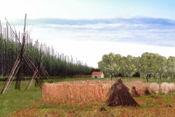 12. ročník, 2019–2020
1. cena: Klára Bohuslavová – ateliér Efler, Revitalizace žatecké chmelařské krajiny v
okolí zámku Stekník