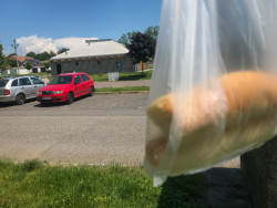 Samoobsluha v Seči od Žalský architekt