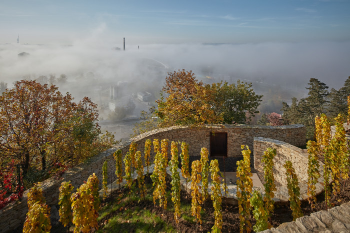 Degustační prostor Fibonacci od Marco Maio Architects