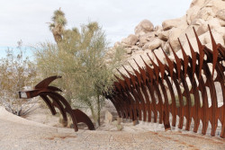 Kendrick Bangs Kellogg and John Vugrin, Fence, Doolittle House, Joshua Tree, 1980-2004, Foto: Adam Štěch