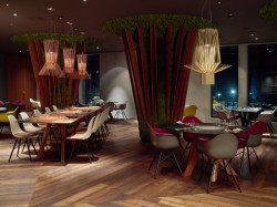 Signature, Pavel Kříž, Brno, Foto