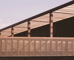 Broadway Malyan, Waitrose supermarket - foto