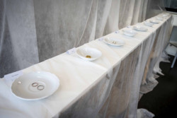 FA NONSTOP je u konce. Od pondělí vystavují studenti architektury, designu a krajinářské architektury své práce.