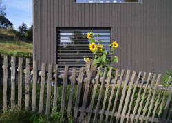 Rodinný dům Maxičky, 3+1 architekti