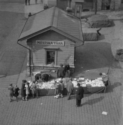 Tachovské náměstí ve dvacátých letech minulého století (Tachovské náměstí v Praze, OVA)