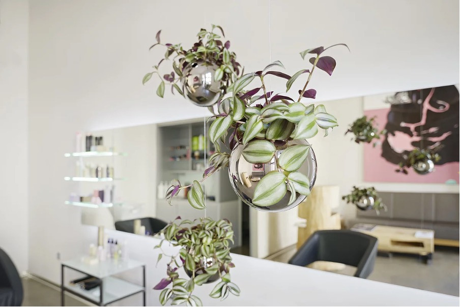 Pokojové rostliny čistí vzduch a jsou pozitivním doplňkem interiéru